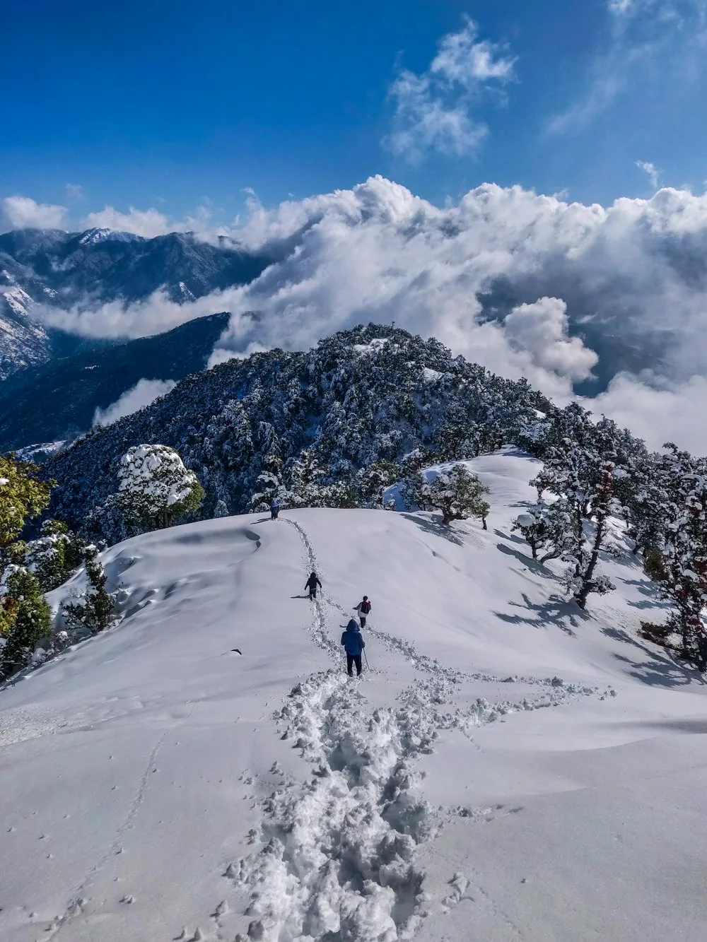 Shimla and Manali Escapes
