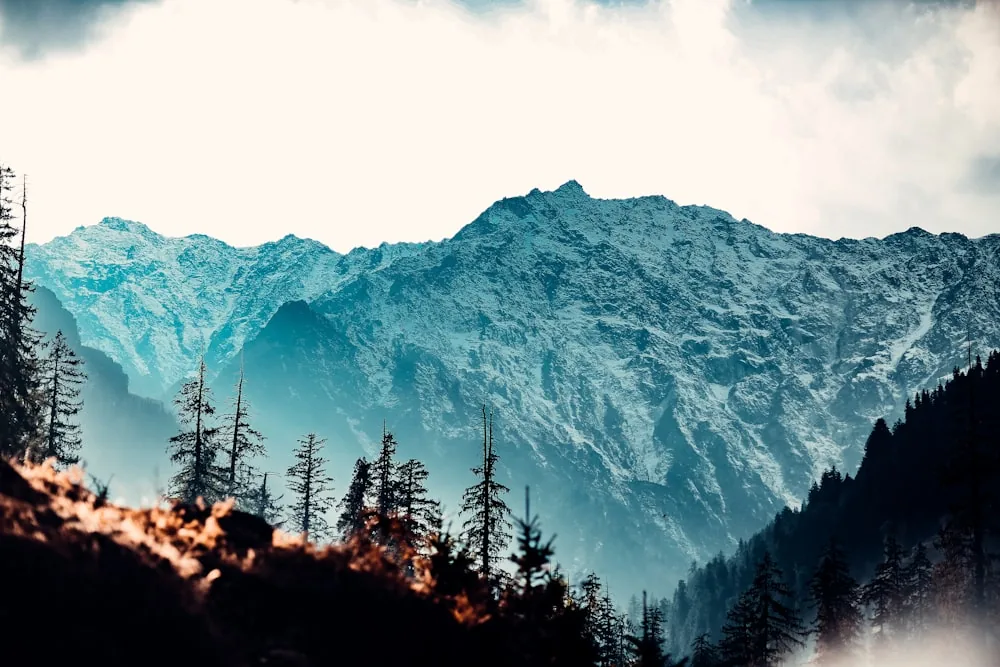 Kashmir Premium Holiday